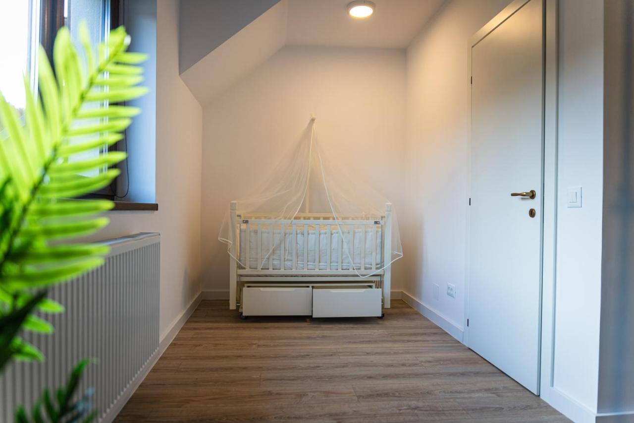 Jungle Family Villa Near Park Aventura,Lake,Zoo Brasov Ngoại thất bức ảnh