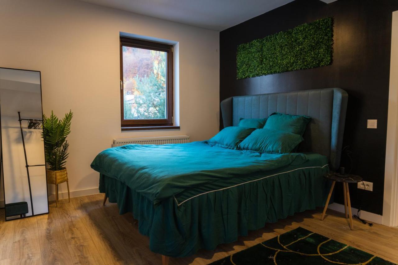 Jungle Family Villa Near Park Aventura,Lake,Zoo Brasov Ngoại thất bức ảnh